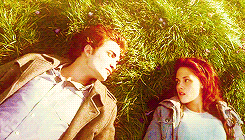 Meadow-twilight-series-33609190-245-140.gif